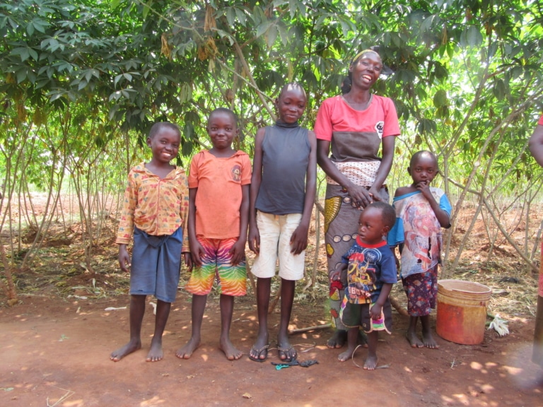 Image of Our holistic approach