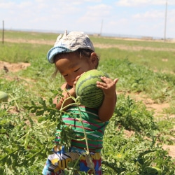 Avatar of “In Mongolia, nomadic families face an uncertain future”